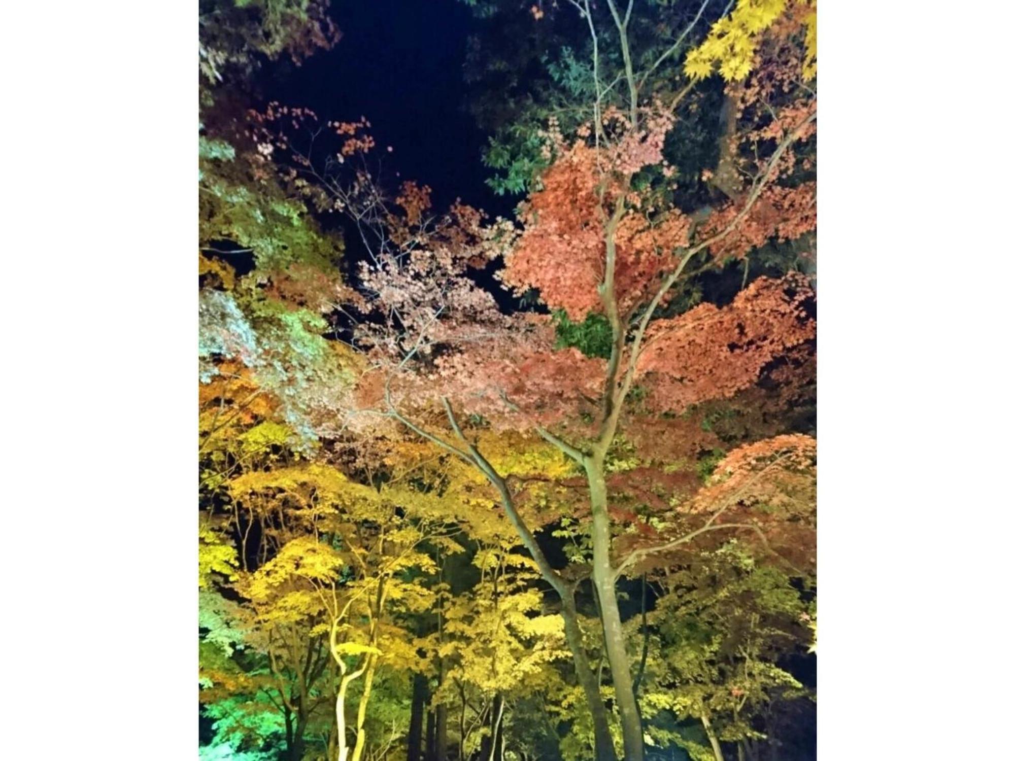 Hotel Tetora Yunokawaonsen - Vacation Stay 30623V Hakodate Luaran gambar