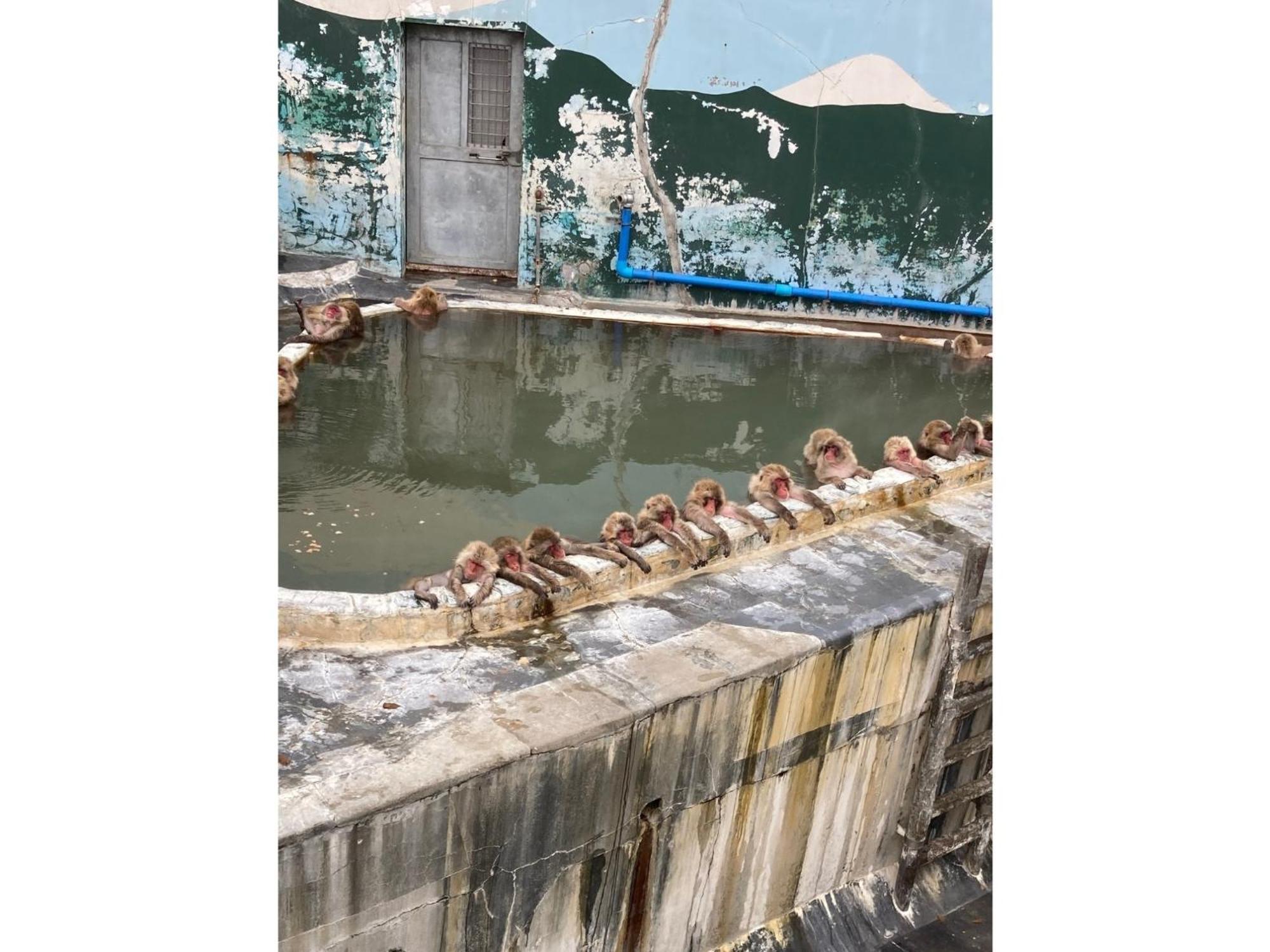 Hotel Tetora Yunokawaonsen - Vacation Stay 30623V Hakodate Luaran gambar